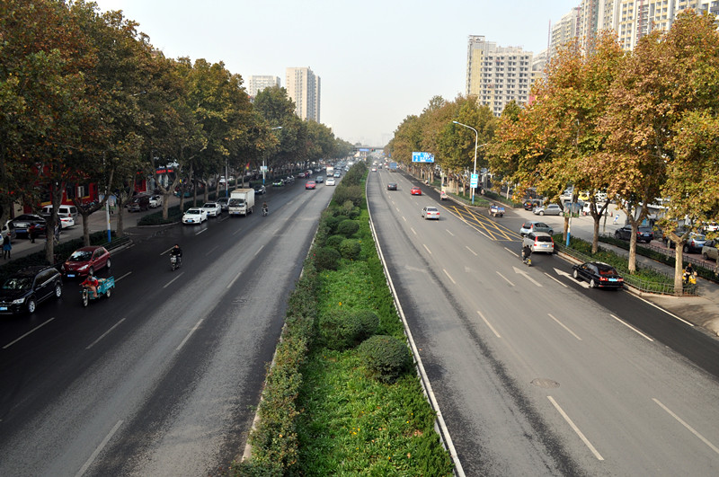 济南市张庄路道路及排水工程绿化施工第一标段
