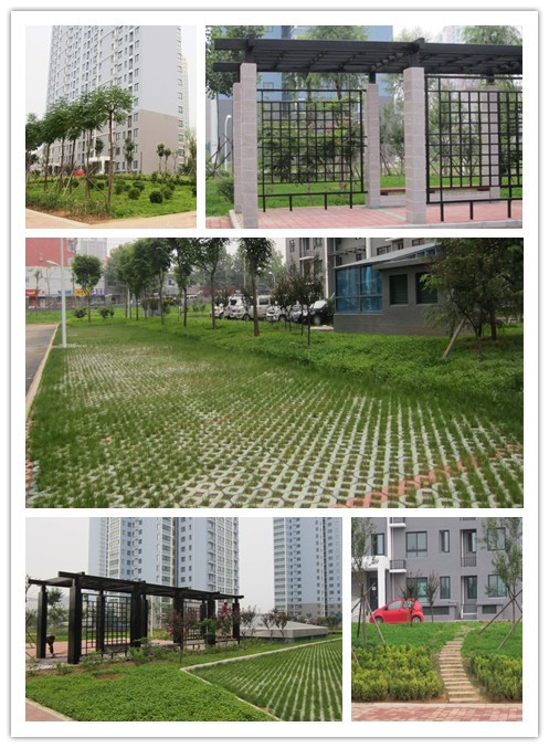济南市姚家村村民安置房园林绿化工程