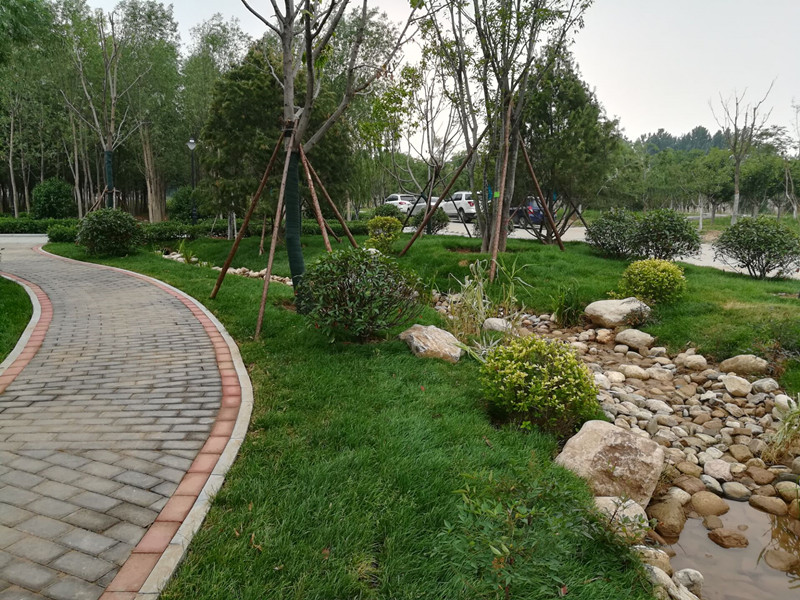 济南市玉符河综合治理工程生态林带绿化七标段